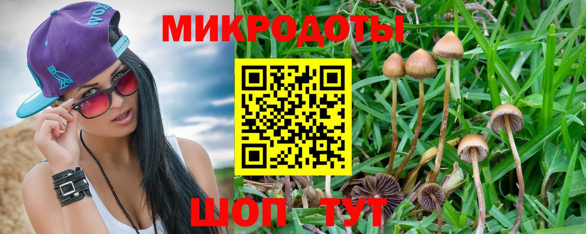 Галлюциногенные грибы Psilocybine cubensis Кинель