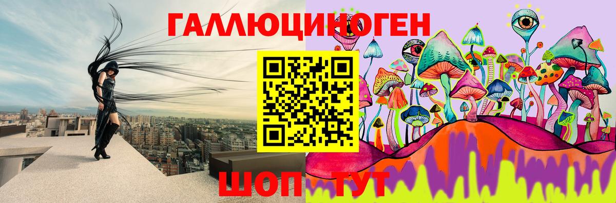 Кинель  Галлюциногенные грибы мухоморы  Вход с VPN 